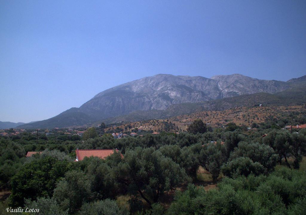 Hotel Sofia Marathókampos Dış mekan fotoğraf